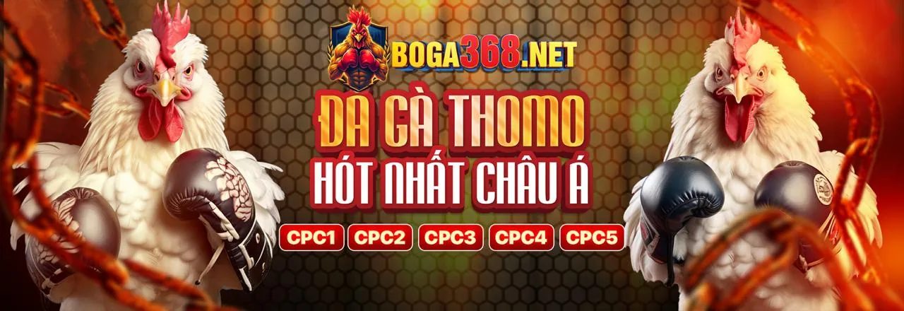 Hình ảnh dịch vụ hỗ trợ khách hàng 24/7 của 789vg code
