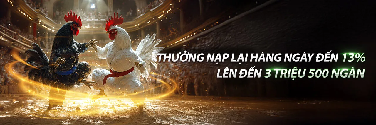 Đấu gà trực tuyến kịch tính tại 789vg code