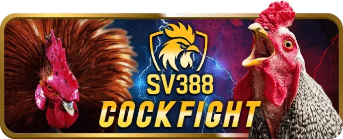 Sân bóng đá với quả bóng cược và logo 789vg code
